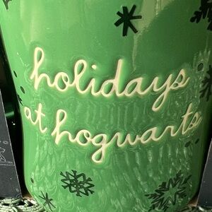 NWT Harry Potter Slytherin Color Changing Mug Set with wand. Rae Dunn, boxed